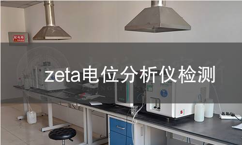 zeta电位分析仪检测