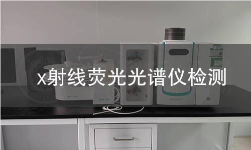 x射线荧光光谱仪检测