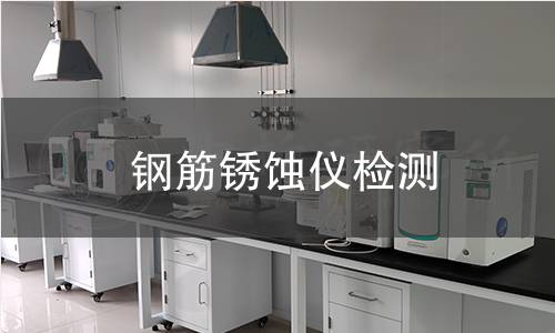 钢筋锈蚀仪检测