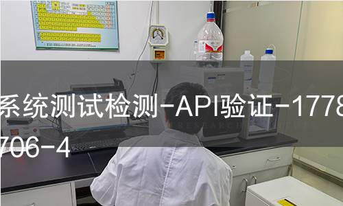 系统测试检测-API验证-1778292706-4