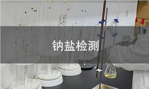钠盐检测