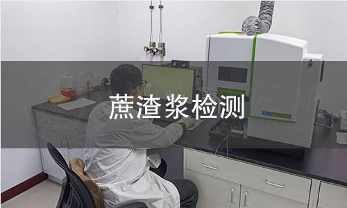 蔗渣浆检测