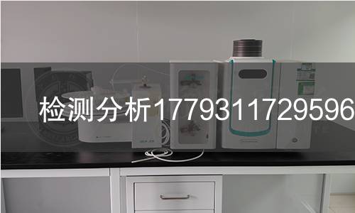 检测分析1779311729596检测