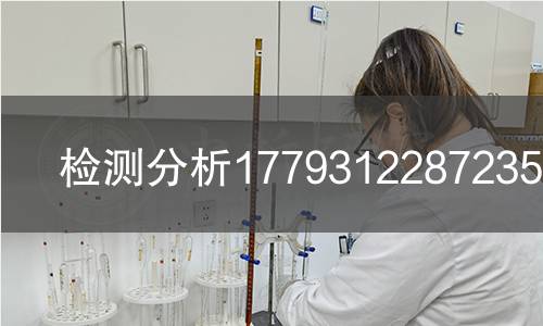 检测分析1779312287235检测