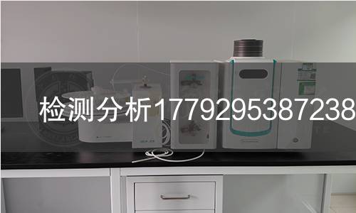 检测分析1779295387238检测