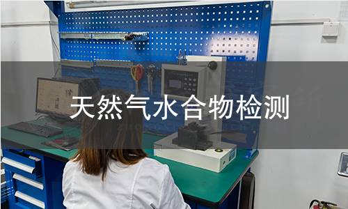 天然气水合物检测