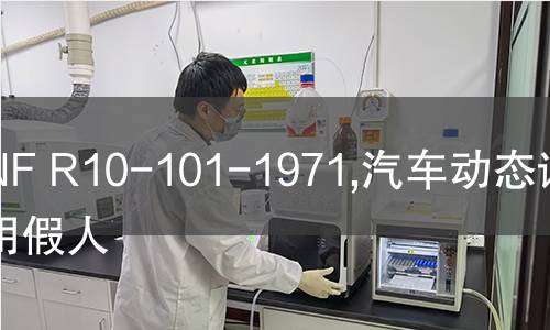 NF R10-101-1971,汽车动态试验用假人