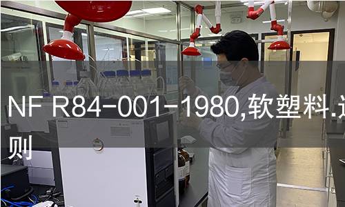 NF R84-001-1980,软塑料.选用准则