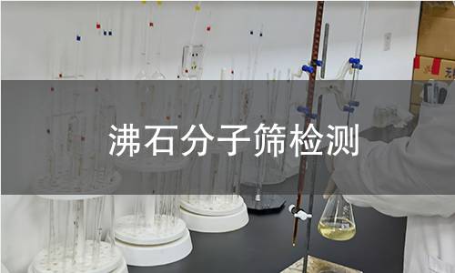 沸石分子筛检测