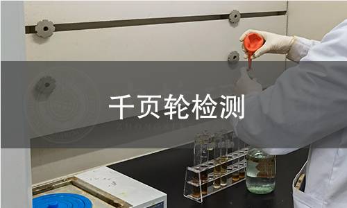千页轮检测