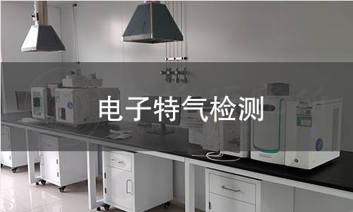 电子特气检测