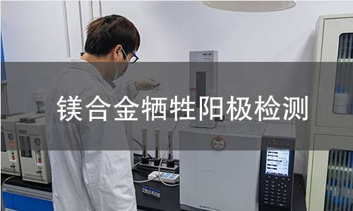 镁合金牺牲阳极检测