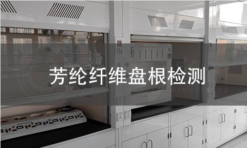 芳纶纤维盘根检测