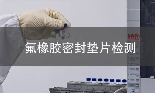 氟橡胶密封垫片检测