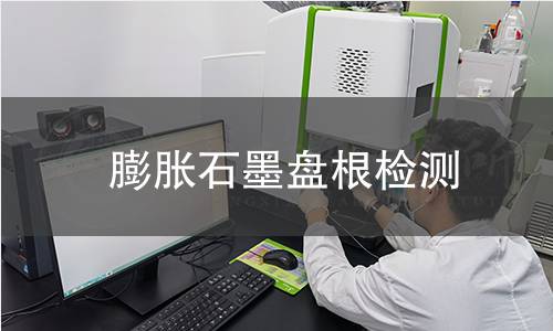 膨胀石墨盘根检测