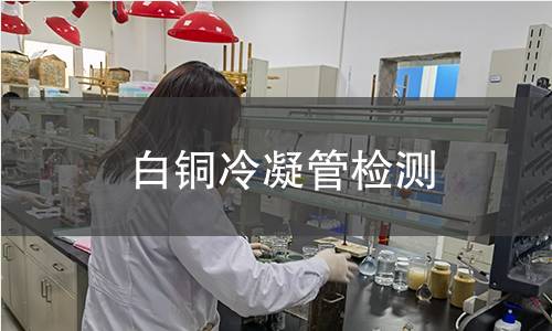 白铜冷凝管检测