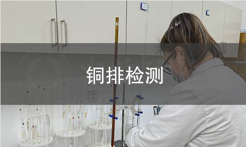铜排检测