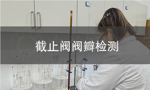 截止阀阀瓣检测