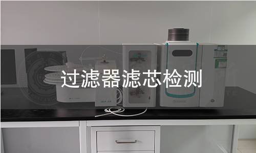 过滤器滤芯检测