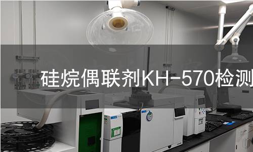 硅烷偶联剂KH-570检测