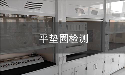 平垫圈检测