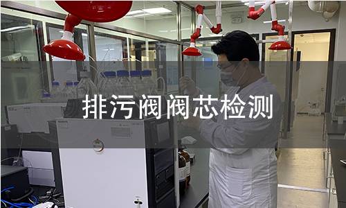 排污阀阀芯检测