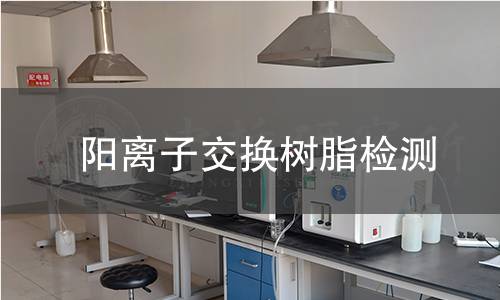 阳离子交换树脂检测