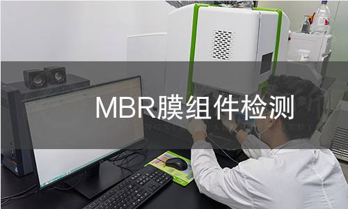 MBR膜组件检测