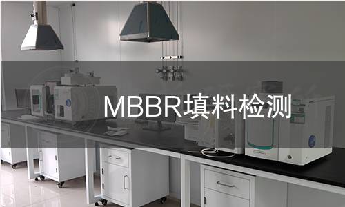 MBBR填料检测