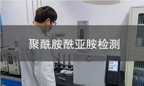 聚酰胺酰亚胺检测