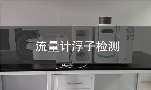流量计浮子检测