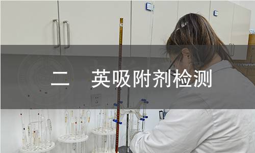 二噁英吸附剂检测