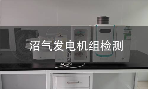 沼气发电机组检测