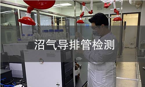沼气导排管检测
