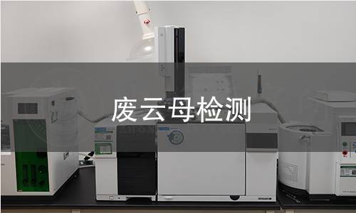 废云母检测