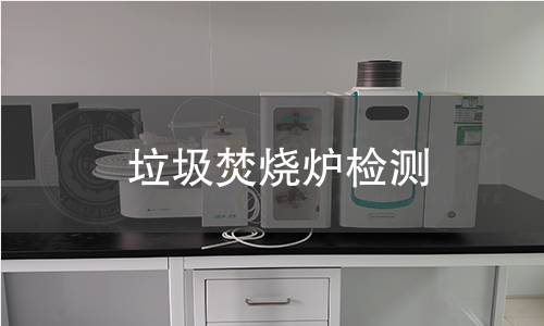 垃圾焚烧炉检测