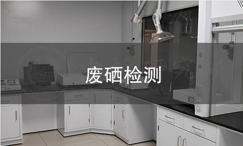 废硒检测