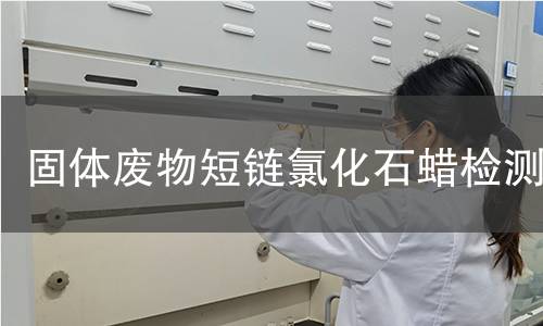 固体废物短链氯化石蜡检测