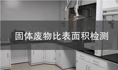 固体废物比表面积检测