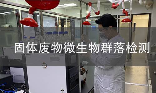 固体废物微生物群落检测