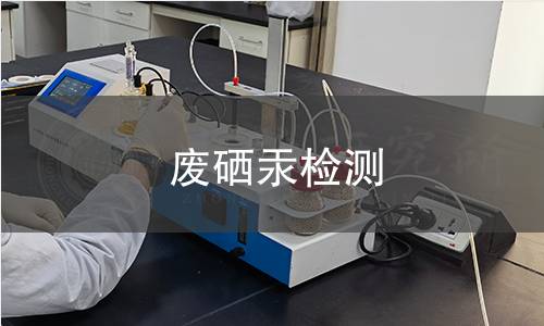 废硒汞检测