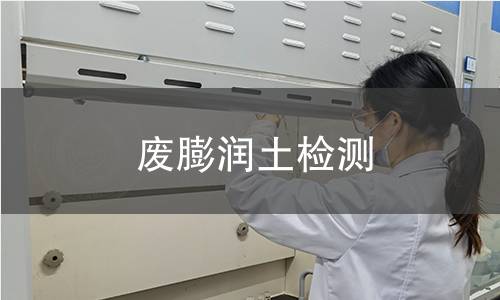 废膨润土检测