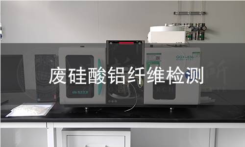废硅酸铝纤维检测