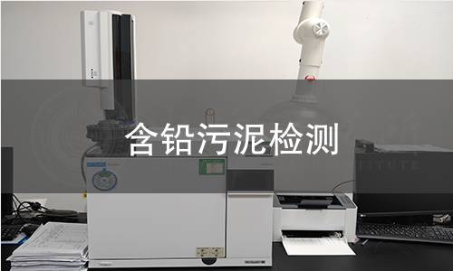 含铅污泥检测