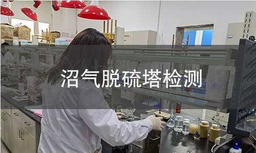 沼气脱硫塔检测