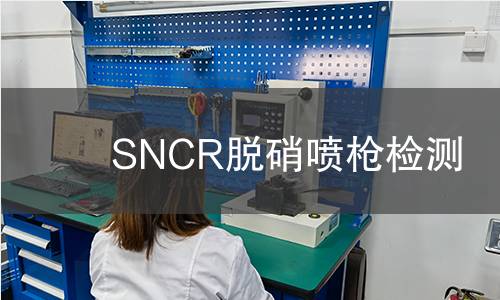 SNCR脱硝喷枪检测