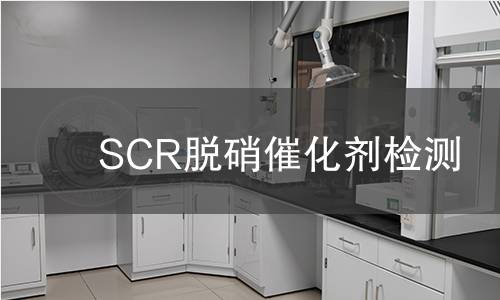 SCR脱硝催化剂检测