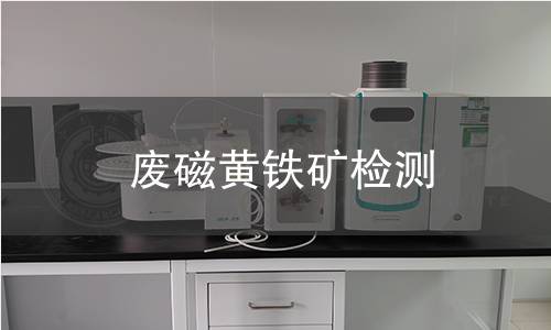 废磁黄铁矿检测