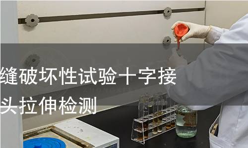 金属材料焊缝破坏性试验十字接头和搭接接头拉伸检测