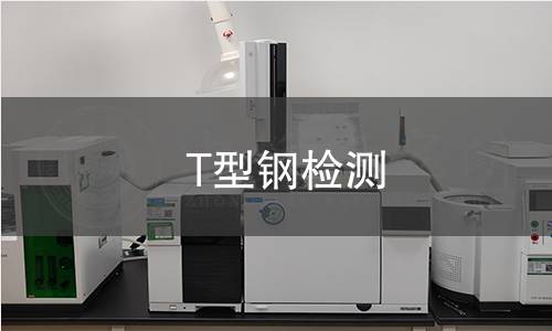 T型钢检测